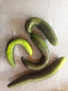cukes